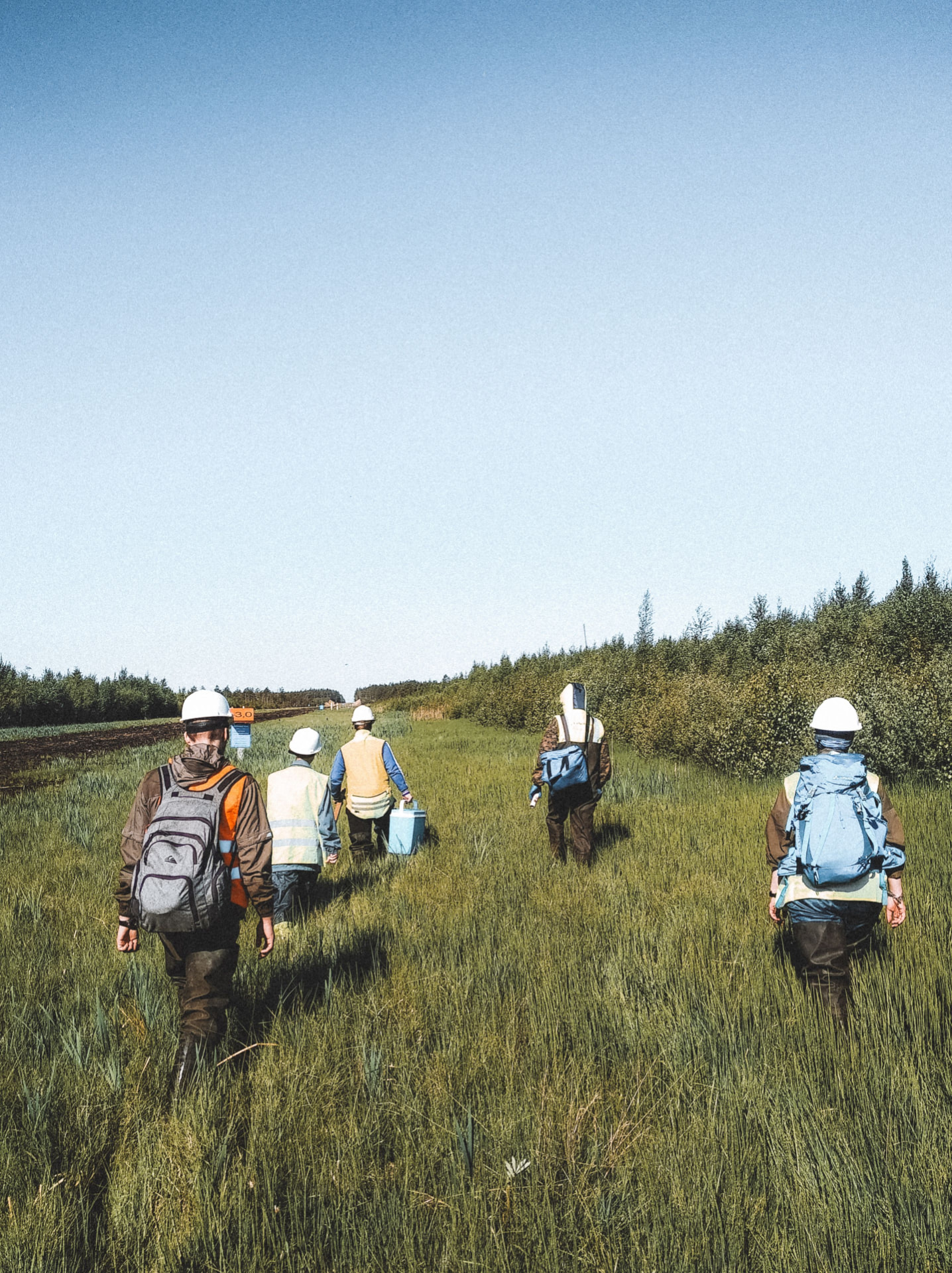 Five researchers in hard hats and high-visibility vests walking through a wetland carrying field sampling gear